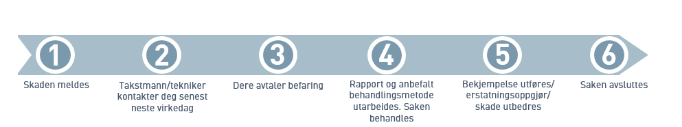 Illustrasjon av generell saksgang