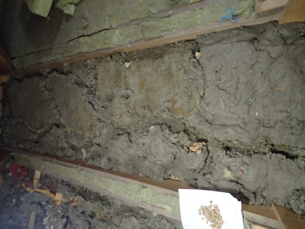 Bildet viser ganger laget av rotter i isolasjonen på et loft.