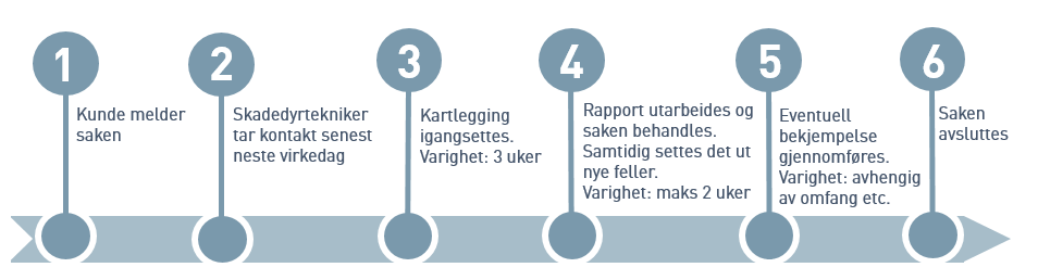 Illustrasjon standard skjeggkresak