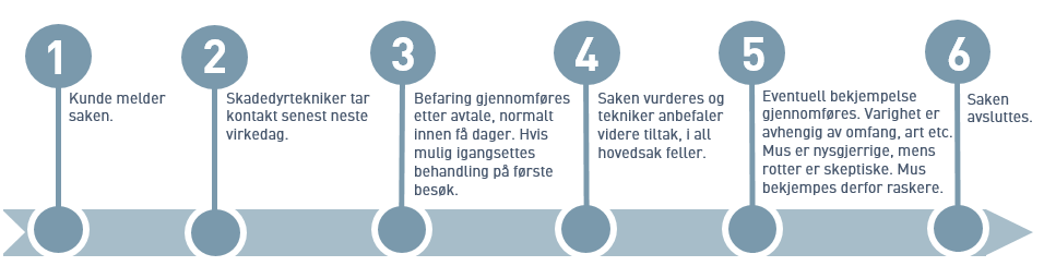 Illustrasjon av standard saksgang for mus og rotter